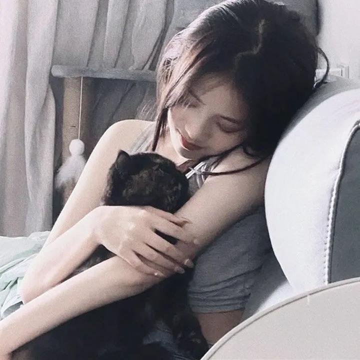 与鲨鱼游弋